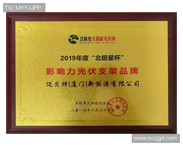 中国企业积极收购海外足球俱乐部推动国际化发展与品牌影响力提升
