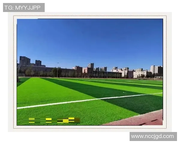 七人足球场造价分析及影响因素探讨与预算建议