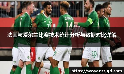 法国与爱尔兰比赛技术统计分析与数据对比详解