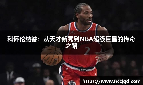 3377体育平台